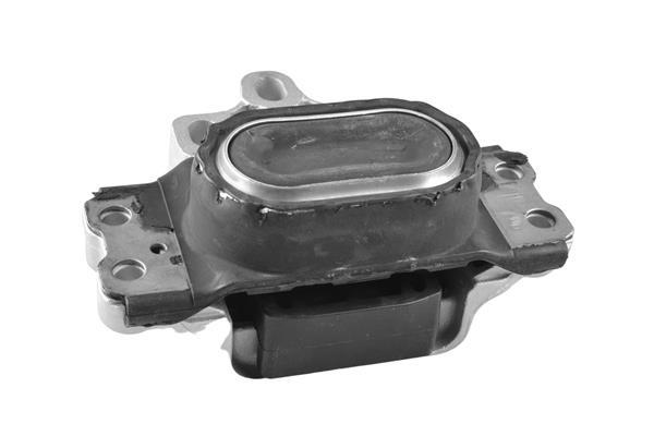 Support moteur (Silent bloc moteur) TEDGUM TED13881