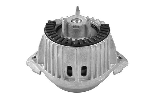 Support moteur (Silent bloc moteur) TEDGUM TED13918