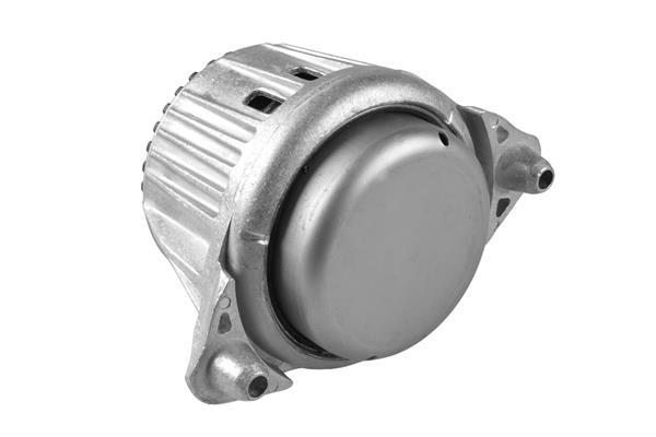 Support moteur (Silent bloc moteur) TEDGUM TED13918