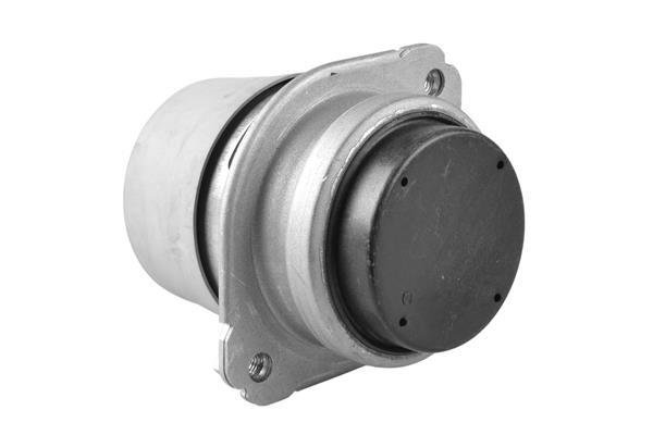 Support moteur (Silent bloc moteur) TEDGUM TED25233
