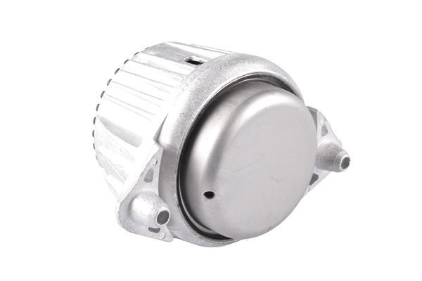 Support moteur (Silent bloc moteur) TEDGUM TED39310
