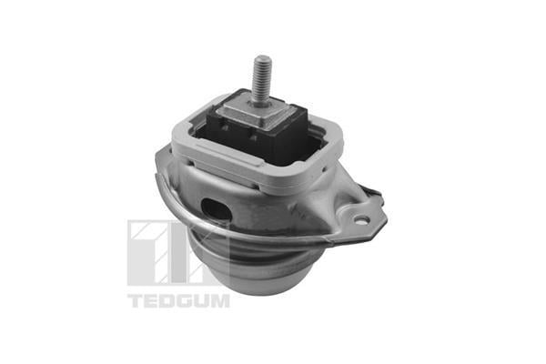 Support moteur (Silent bloc moteur) TEDGUM ref. TED44341