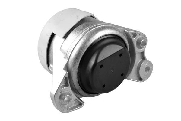 Support moteur (Silent bloc moteur) TEDGUM TED46809