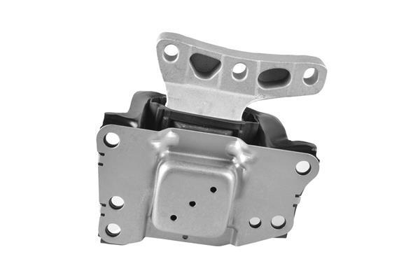 Suporte do motor TEDGUM TED80493