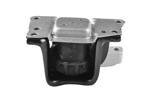 Suporte do motor TEDGUM TED80493