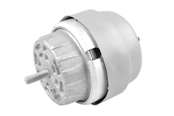 Support moteur (Silent bloc moteur) TEDGUM TED86930