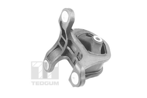 Support moteur (Silent bloc moteur) TEDGUM TED95218