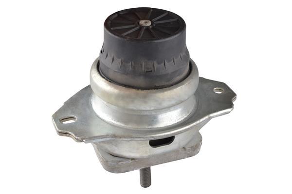 Support moteur (Silent bloc moteur) TEDGUM TED96746