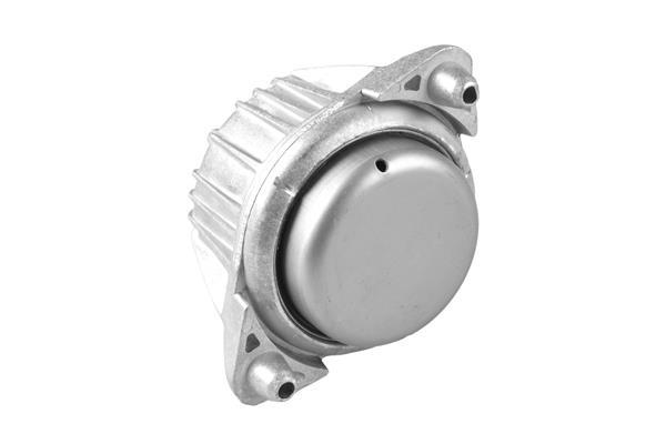 Support moteur (Silent bloc moteur) TEDGUM ref. TED99086