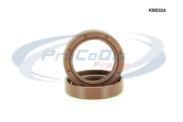 Kit de retenes, motor PROCODIS FRANCE ref. KBE024