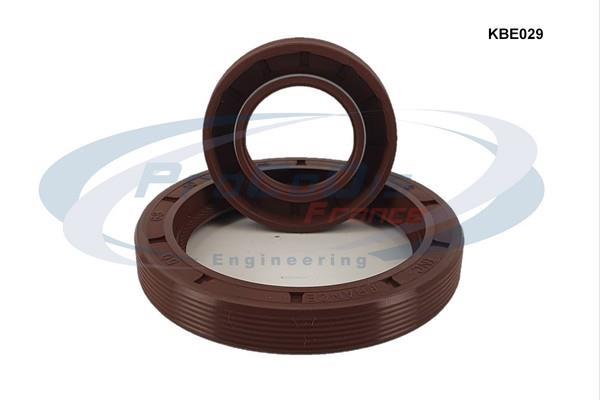 Kit de retenes, motor PROCODIS FRANCE ref. KBE029