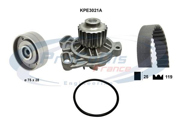 Kit de distribuição PROCODIS FRANCE ref. KPE3021A