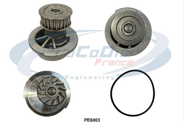 Pompe à eau PROCODIS FRANCE ref. PE6003