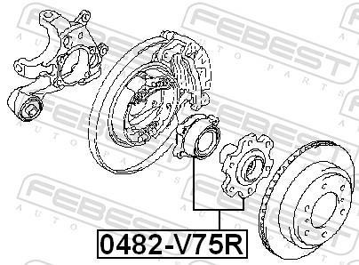 Moyeu de roue (Roulement de roue) FEBEST 0482-V75R
