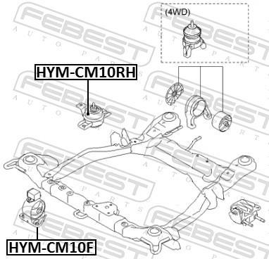 Suporte do motor FEBEST ref. HYM-CM10F