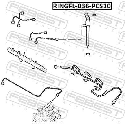Bague d'étanchéité d'injecteur FEBEST ref. RINGFL-036-PCS10