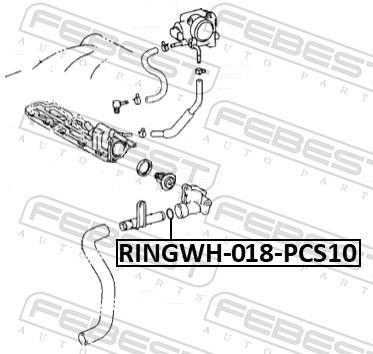 Joint, collerette de réfrigérant FEBEST RINGWH-018-PCS10
