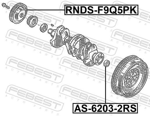 Poulie damper (Poulie de vilebrequin) FEBEST RNDS-F9Q5PK
