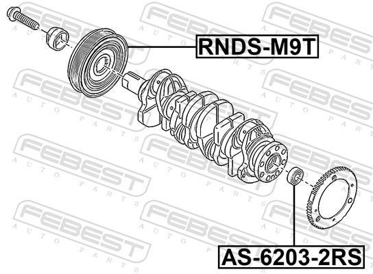 Poulie damper (Poulie de vilebrequin) FEBEST RNDS-M9T