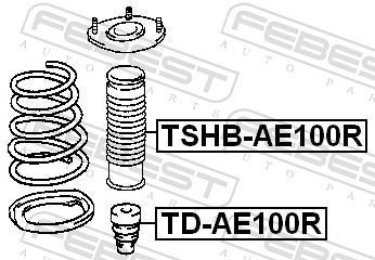 Amortisseurs FEBEST ref. TD-AE100R