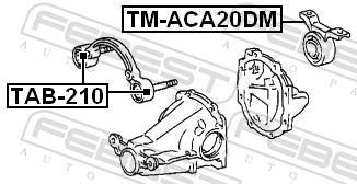 Cojinetes, diferencial FEBEST ref. TM-ACA20DM