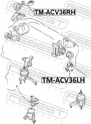 Support moteur (Silent bloc moteur) FEBEST TM-ACV36RH