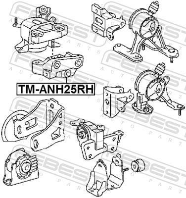 Soporte, motor FEBEST ref. TM-ANH25RH