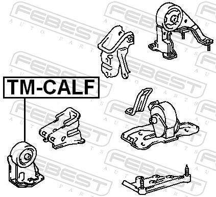 Support moteur (Silent bloc moteur) FEBEST TM-CALF