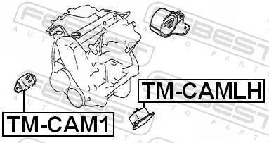 Support moteur (Silent bloc moteur) FEBEST TM-CAMLH