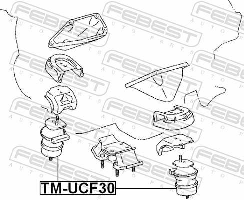 Support moteur (Silent bloc moteur) FEBEST ref. TM-UCF30