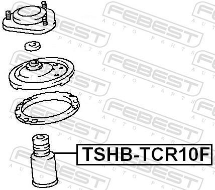 Fuelle de amortiguador FEBEST ref. TSHB-TCR10F