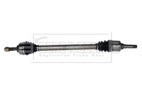 Cardan BORG & BECK BDS1120
