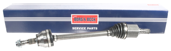 Cardã BORG & BECK BDS1913