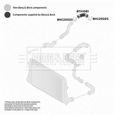 Durite de turbocompresseur (Durite de turbo) BORG & BECK BTH1081