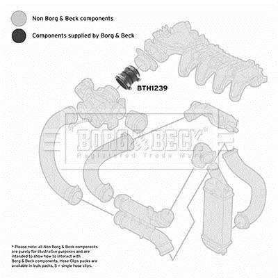 Durite de turbocompresseur (Durite de turbo) BORG & BECK BTH1239