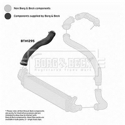 Durite de turbocompresseur (Durite de turbo) BORG & BECK BTH1295