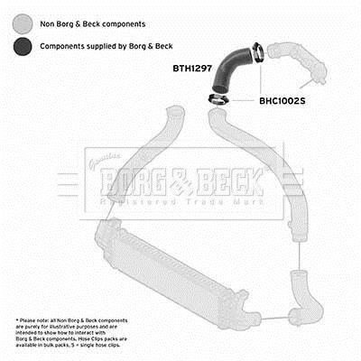 Mangueira do turbocompressor BORG & BECK BTH1297