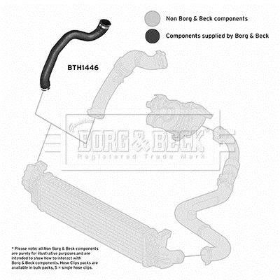 Durite de turbocompresseur (Durite de turbo) BORG & BECK BTH1446