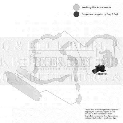 Durite de turbocompresseur (Durite de turbo) BORG & BECK BTH1709