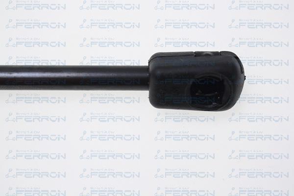 Muelle neumático, maletero/compartimento de carga FERRON 109