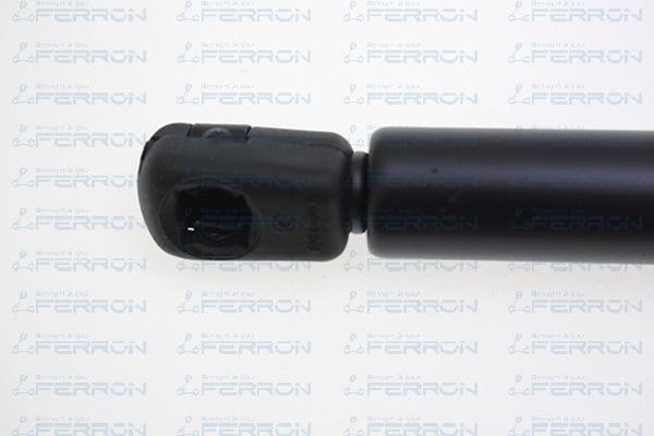 Muelle neumático, maletero/compartimento de carga FERRON 109
