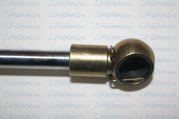 Muelle neumático, maletero/compartimento de carga FERRON 124