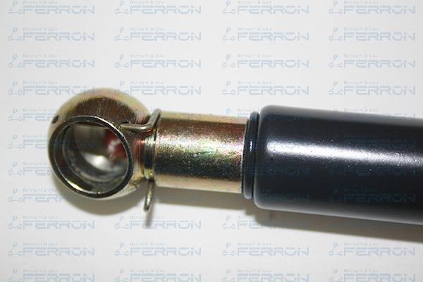 Muelle neumático, maletero/compartimento de carga FERRON 124