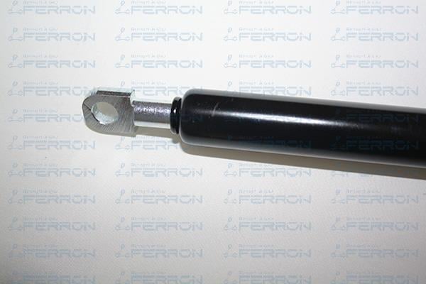 Muelle neumático, maletero/compartimento de carga FERRON 13