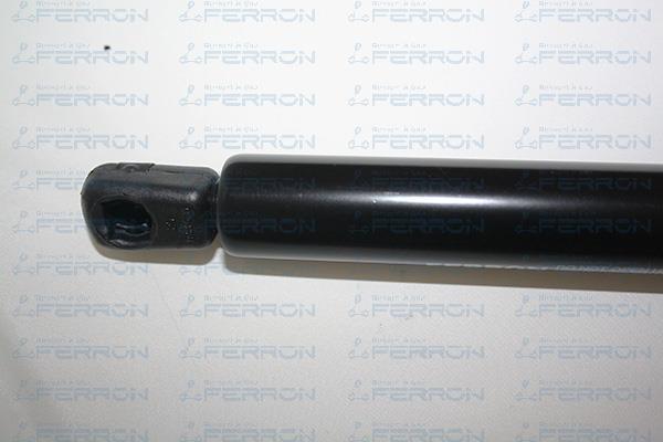 Muelle neumático, maletero/compartimento de carga FERRON 229