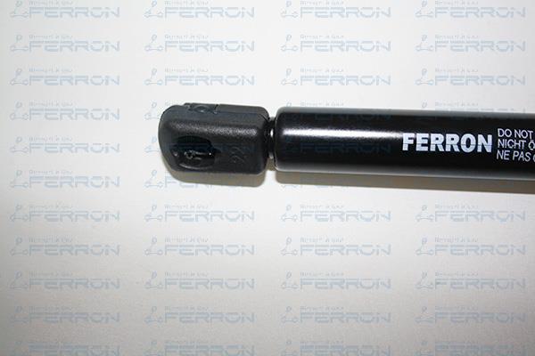 Muelle neumático, maletero/compartimento de carga FERRON 244