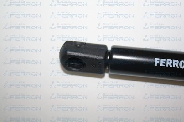 Vérin de hayon, de coffre (Vérin de hayon) FERRON 370
