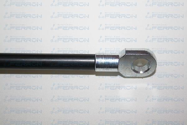 Muelle neumático, maletero/compartimento de carga FERRON 79
