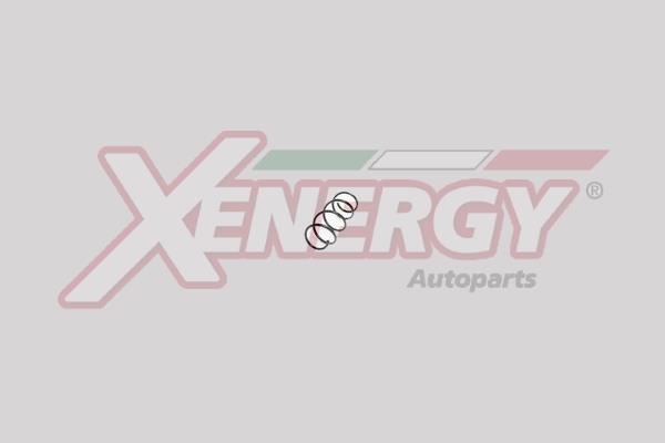 Mola de suspensão XENERGY ref. XSH2930