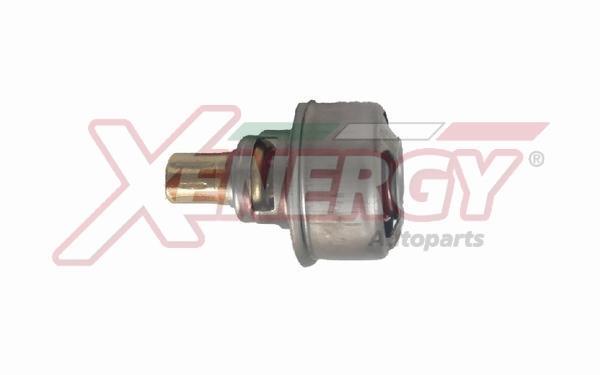 Thermostat d'eau (Calorstat) XENERGY ref. XT4495.86